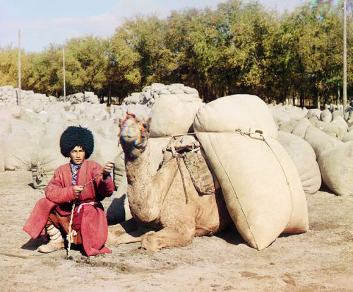 Turkmen_man_with_camel